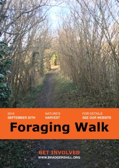 Foraging Walk 2016