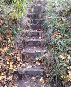 Steps after clearance.